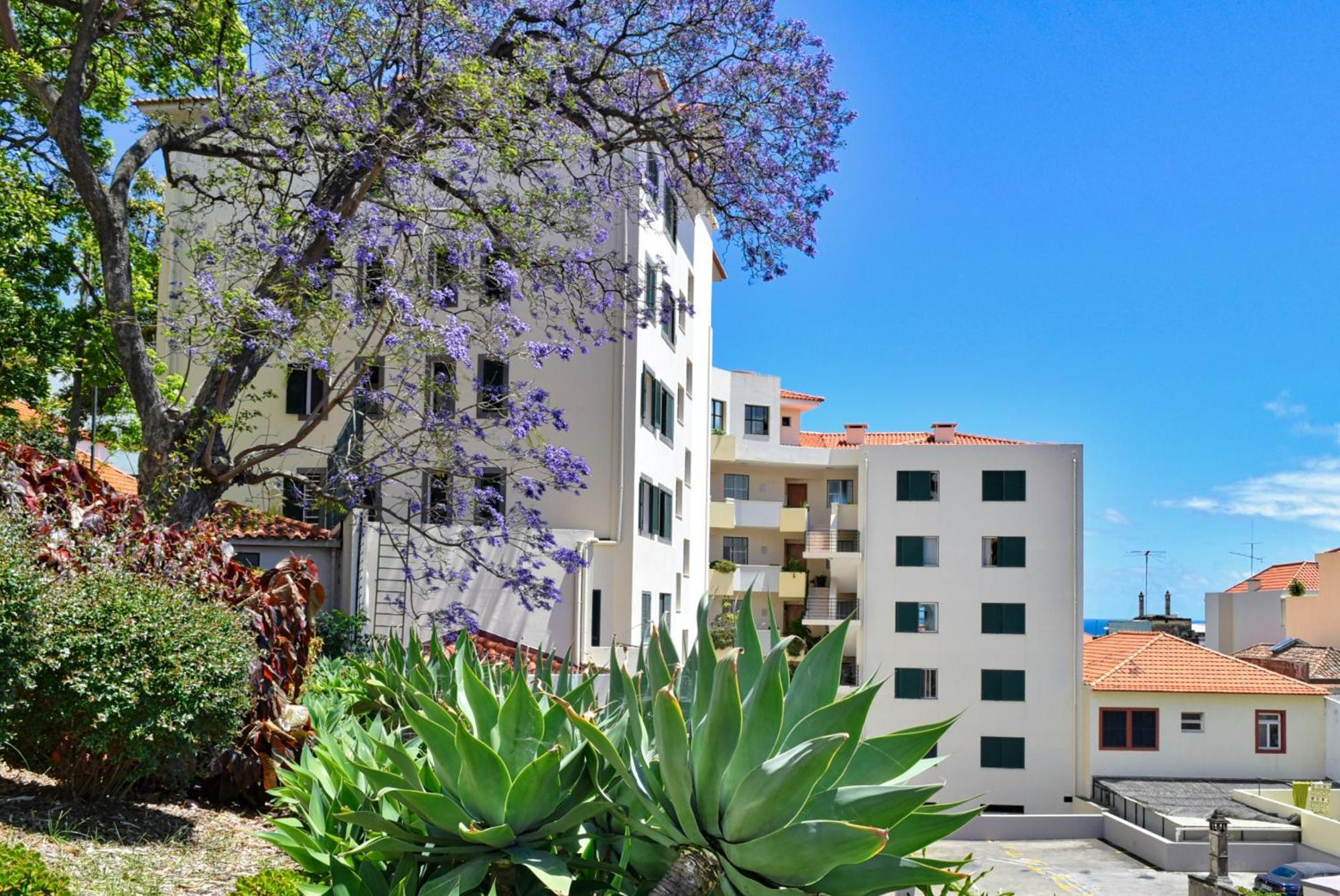 Encarnacao Apartment, A Home In Madeira