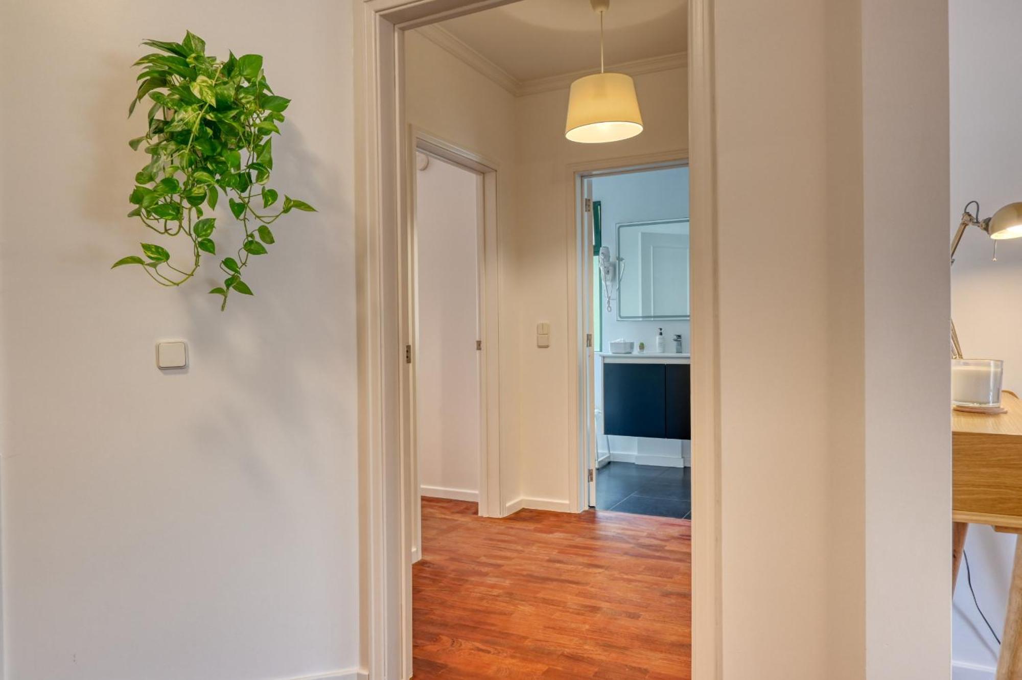 Encarnacao Apartment, A Home In Madeira Apartment