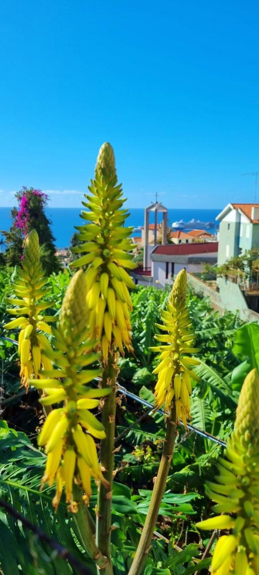 Ferienhaus Catanho