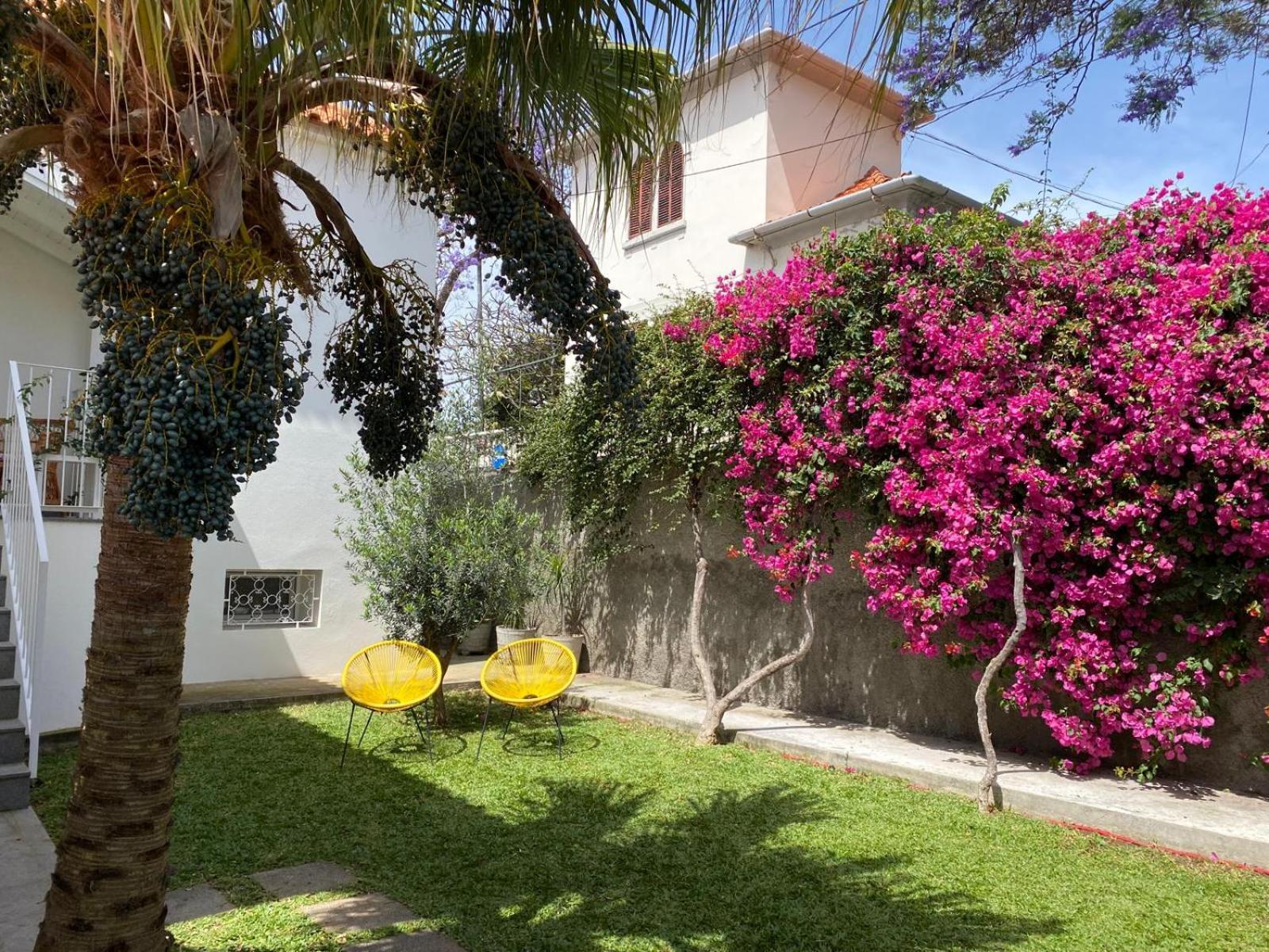 Casa Buganvilia Holiday home *