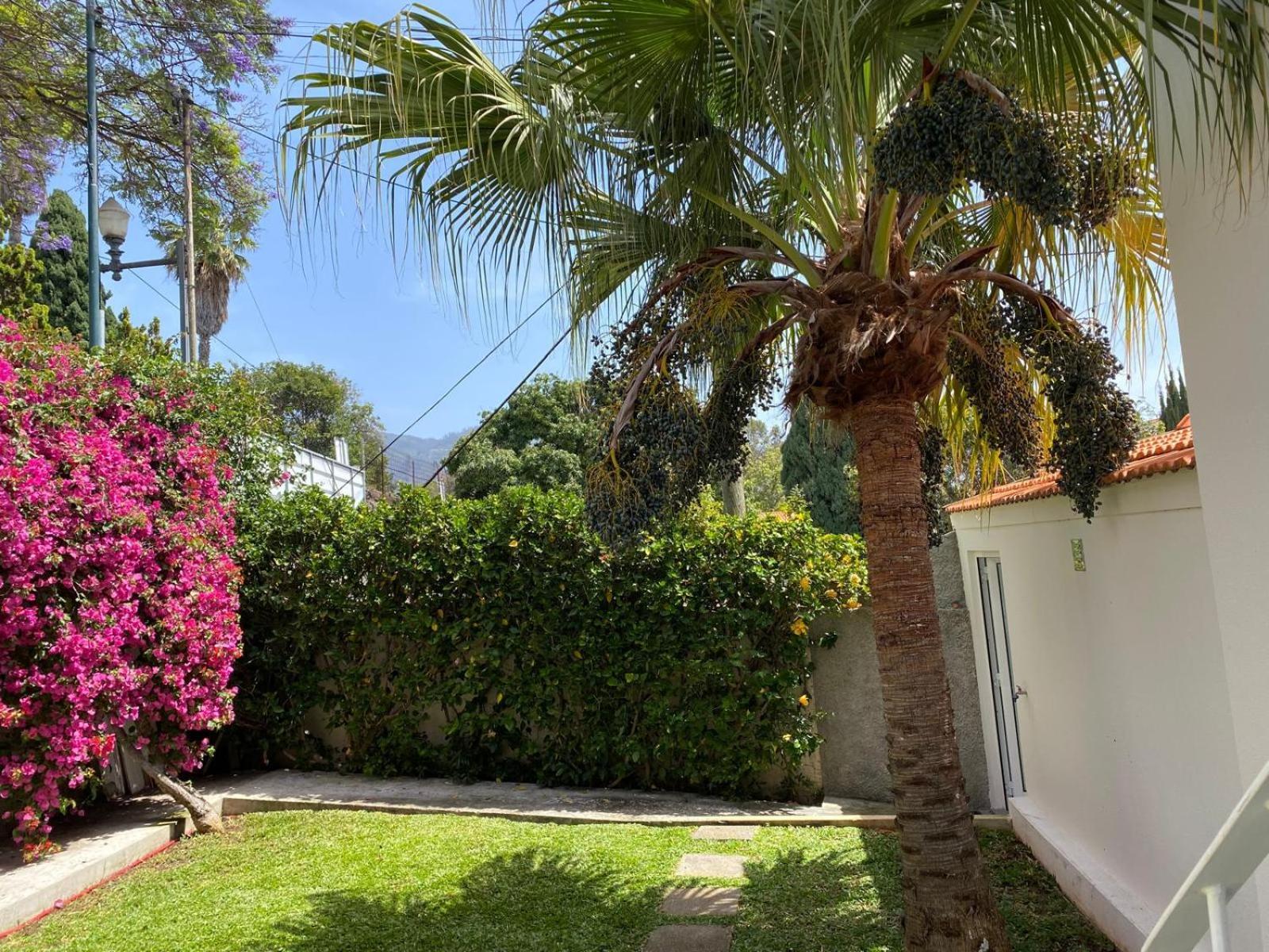 Holiday home Casa Buganvilia *