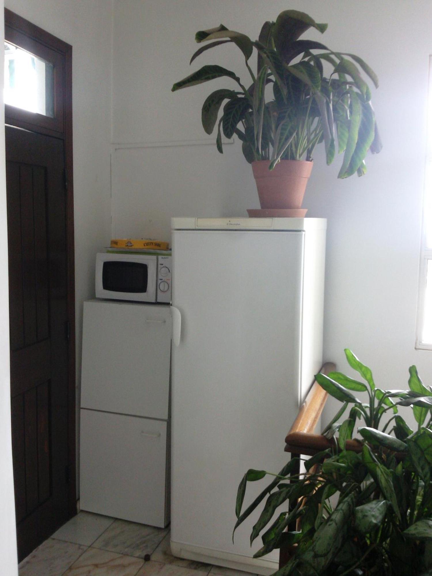 Guest house Pensao Residencial Teresinha 2*