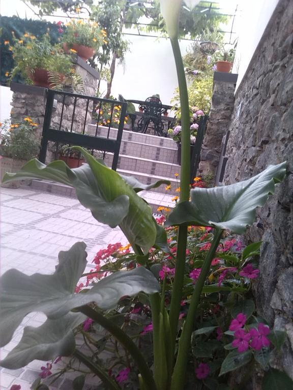 Holiday home Maravilhas House