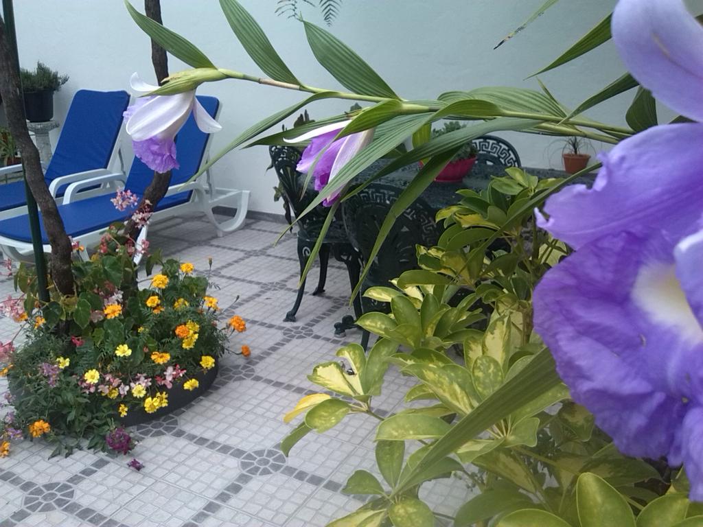 Maravilhas House Holiday home Funchal (Madeira)