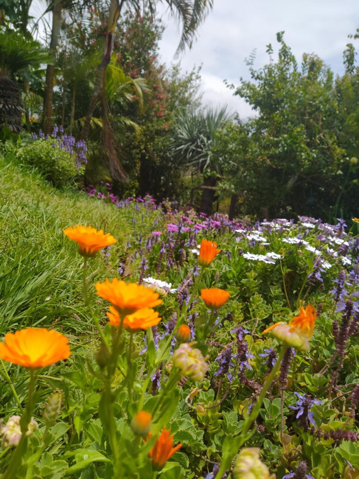 Biofuncho Garden