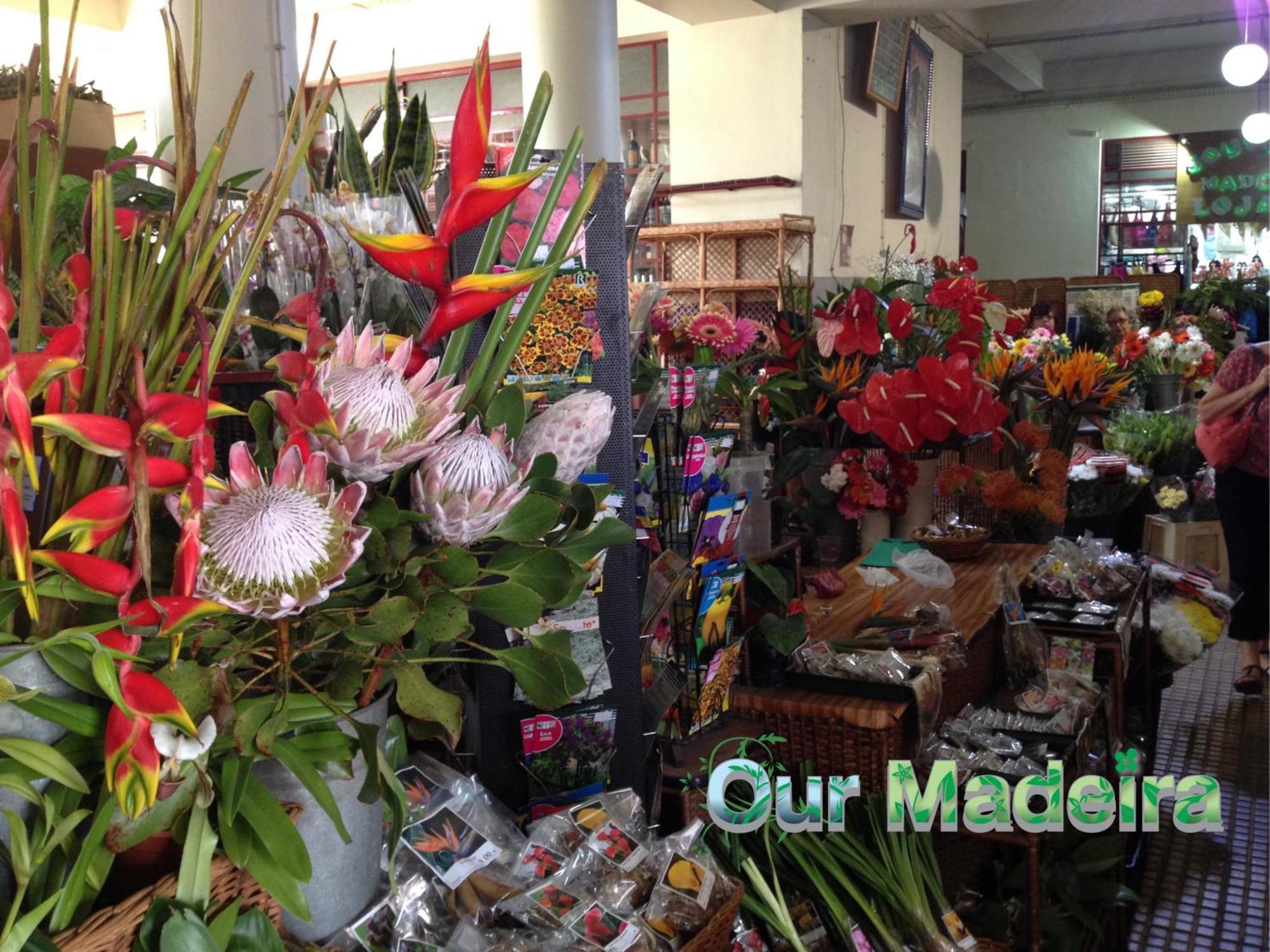 Ourmadeira - Heart Of Old Town I