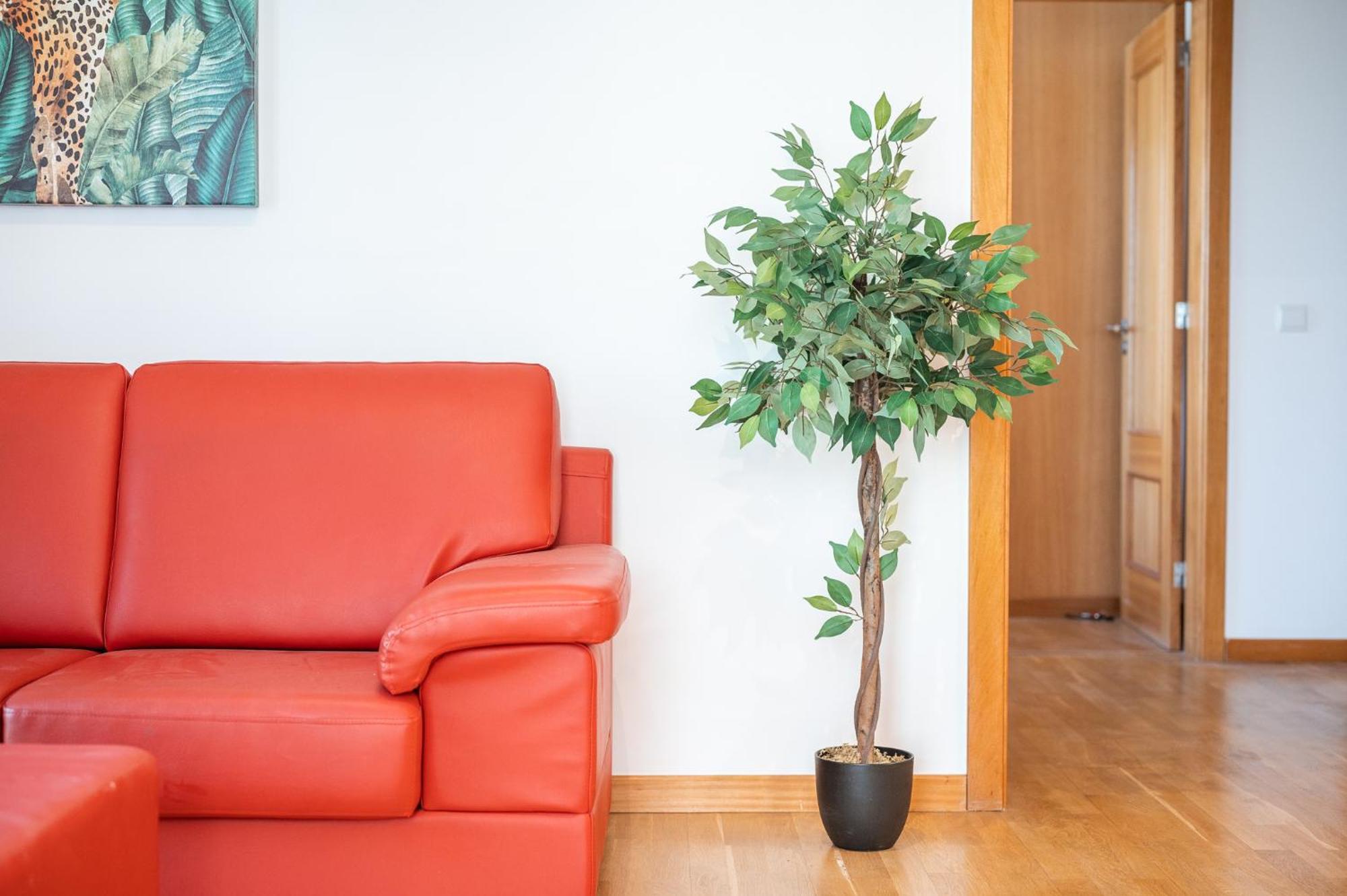 Sao Tiago Apartment