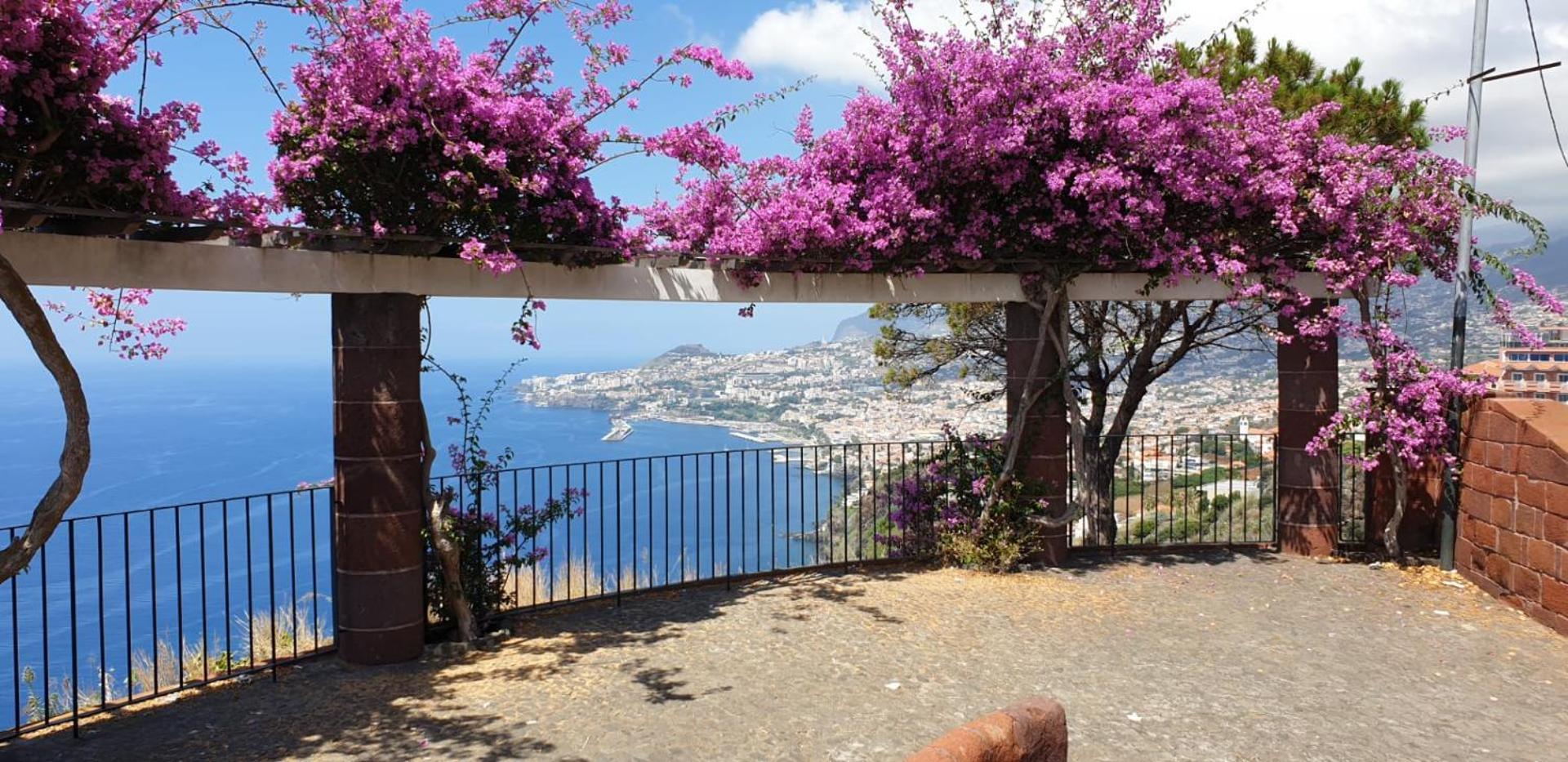 Apartament Shearwaters - Sounds Of The Sea Funchal (Madeira)
