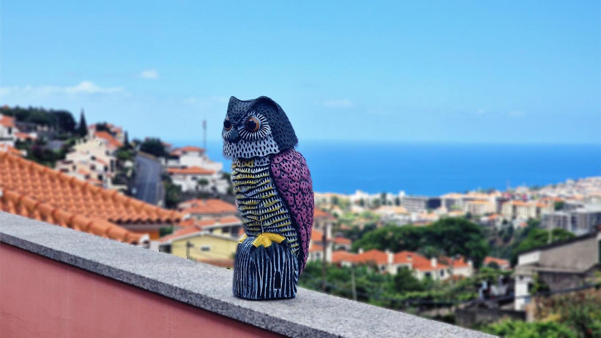 Case de vacanță Mon Reve Portugais By Lovelystay