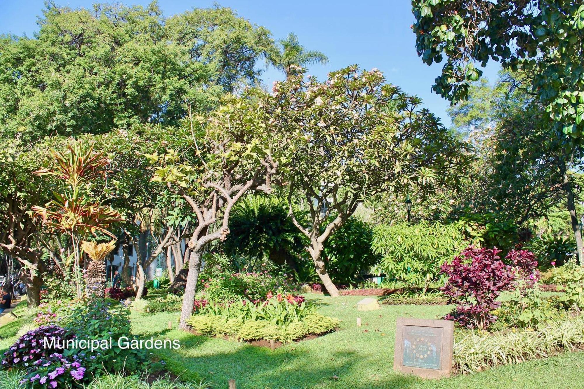 Ourmadeira - Vintage Garden Căn hộ *