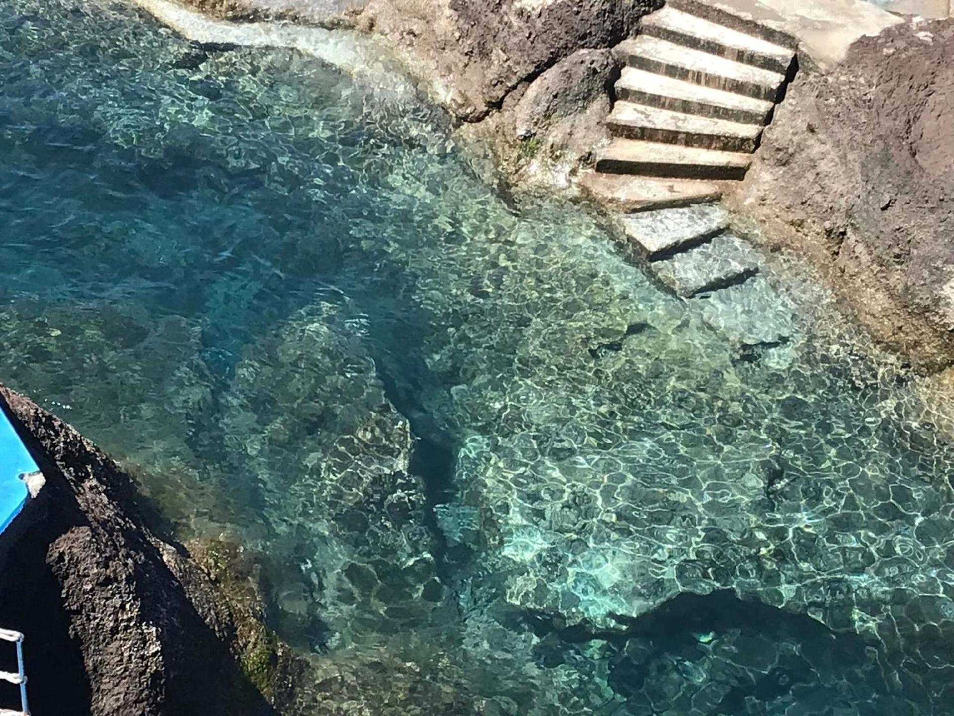 Apartament Fuer 4 Personen Ca 15 M In So Martinho, Madeira Suedkueste Von Madeira *
