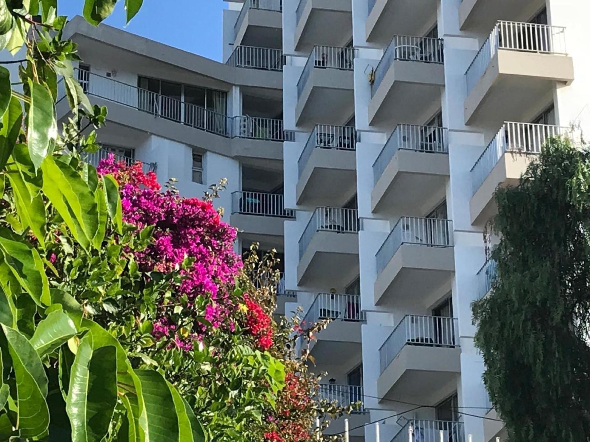 Apartament Fuer 4 Personen Ca 15 M In So Martinho, Madeira Suedkueste Von Madeira Funchal (Madeira)