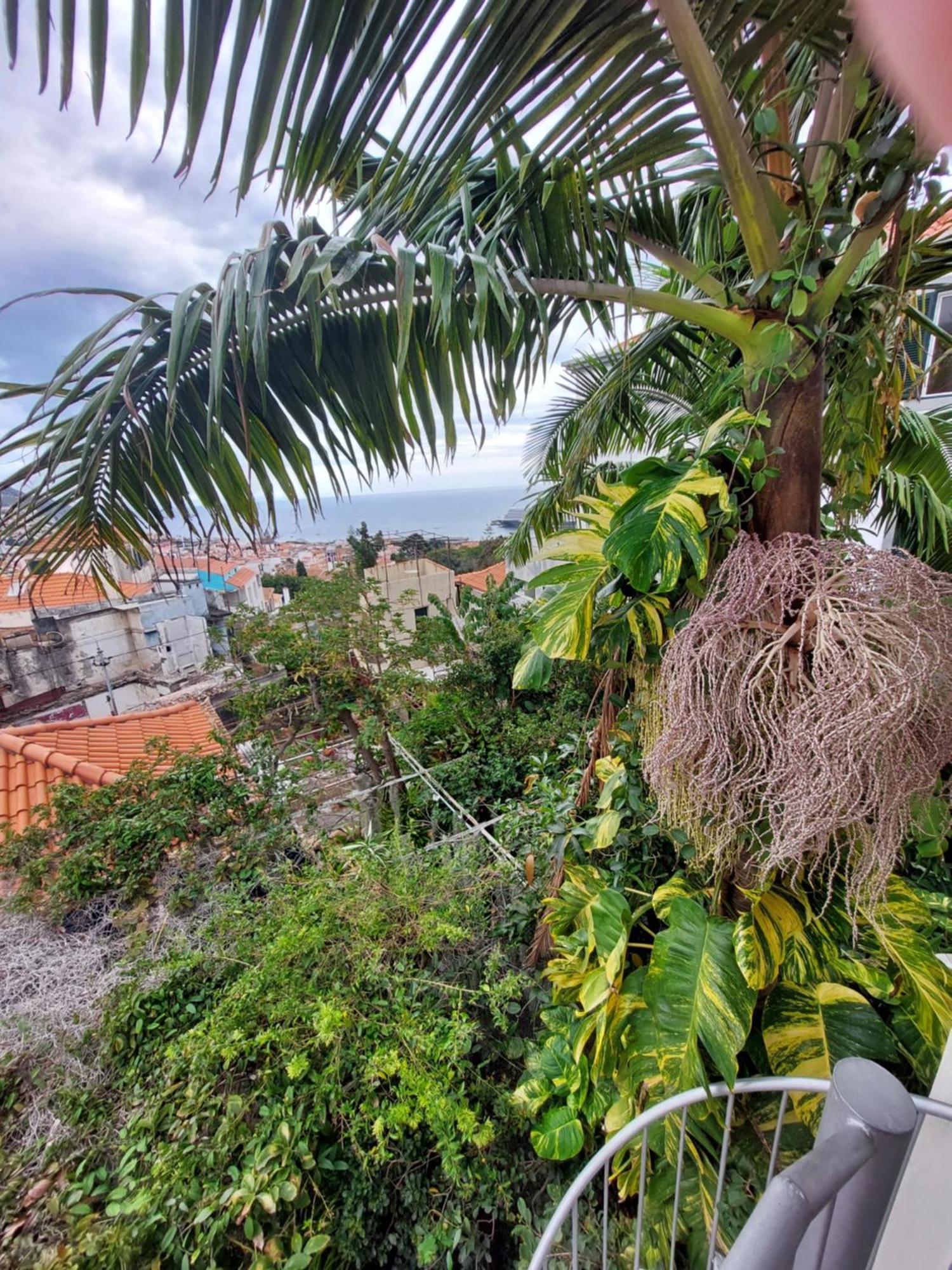 Casa Pico Musica Apartment Funchal (Madeira)