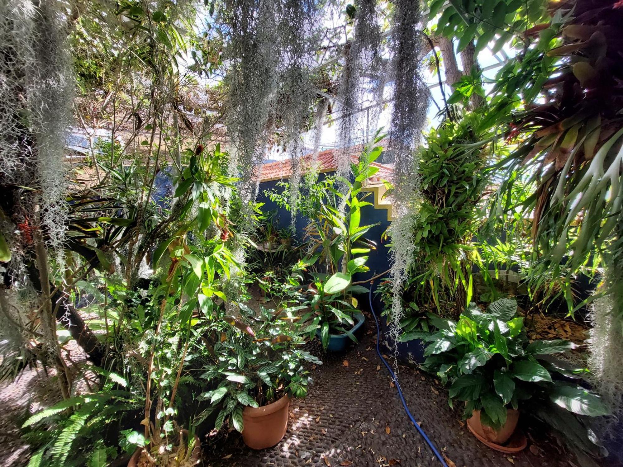 Casa Pico Musica Apartment *