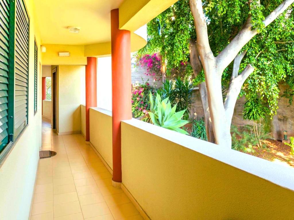 Verandas Lux By Ymr * Funchal (Madeira)