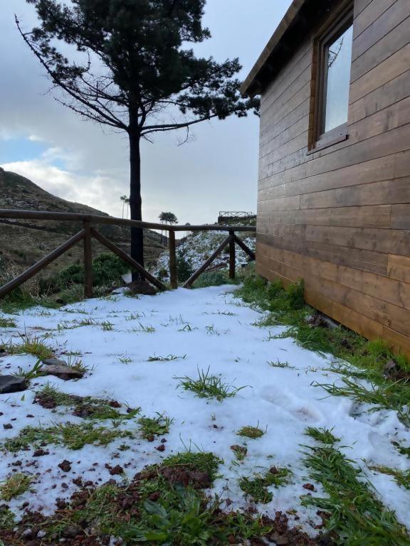 Campismo de Luxo Mountain Eco Shelter 2 Funchal (Madeira)