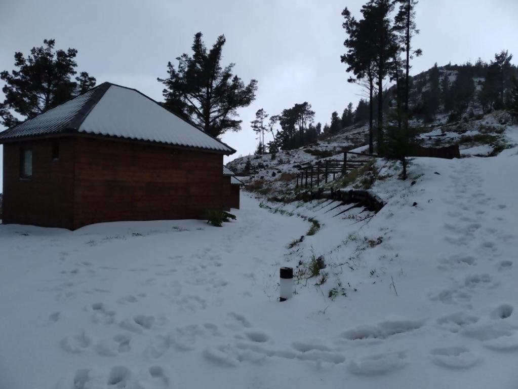 Mountain Eco Shelter 2 Funchal (Madeira)