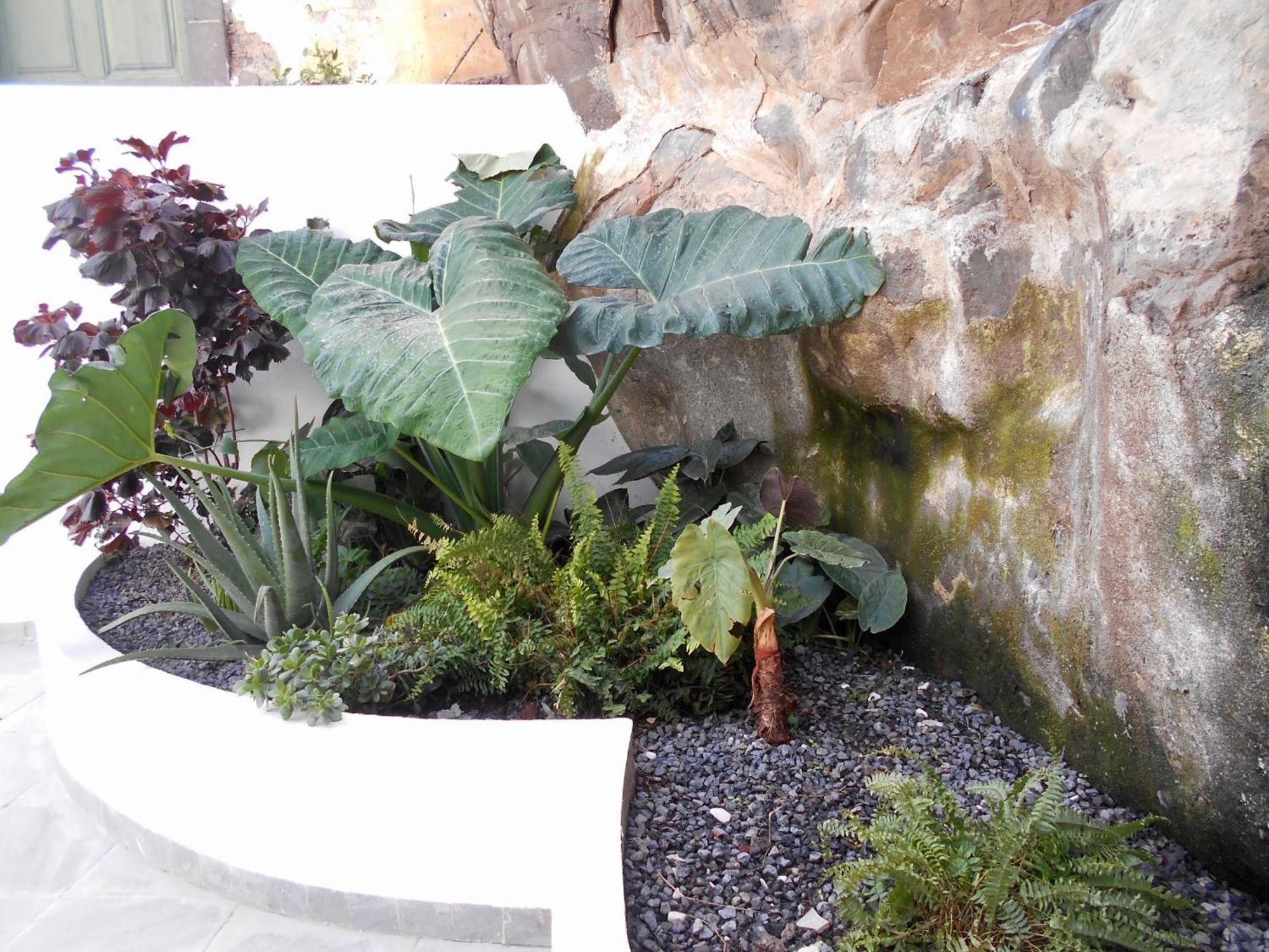 Apartamento - Bouganvilla Funchal (Madeira)