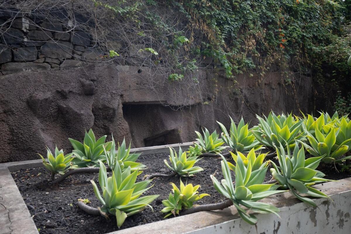 Monumental Garden Loft Apartment Funchal (Madeira)