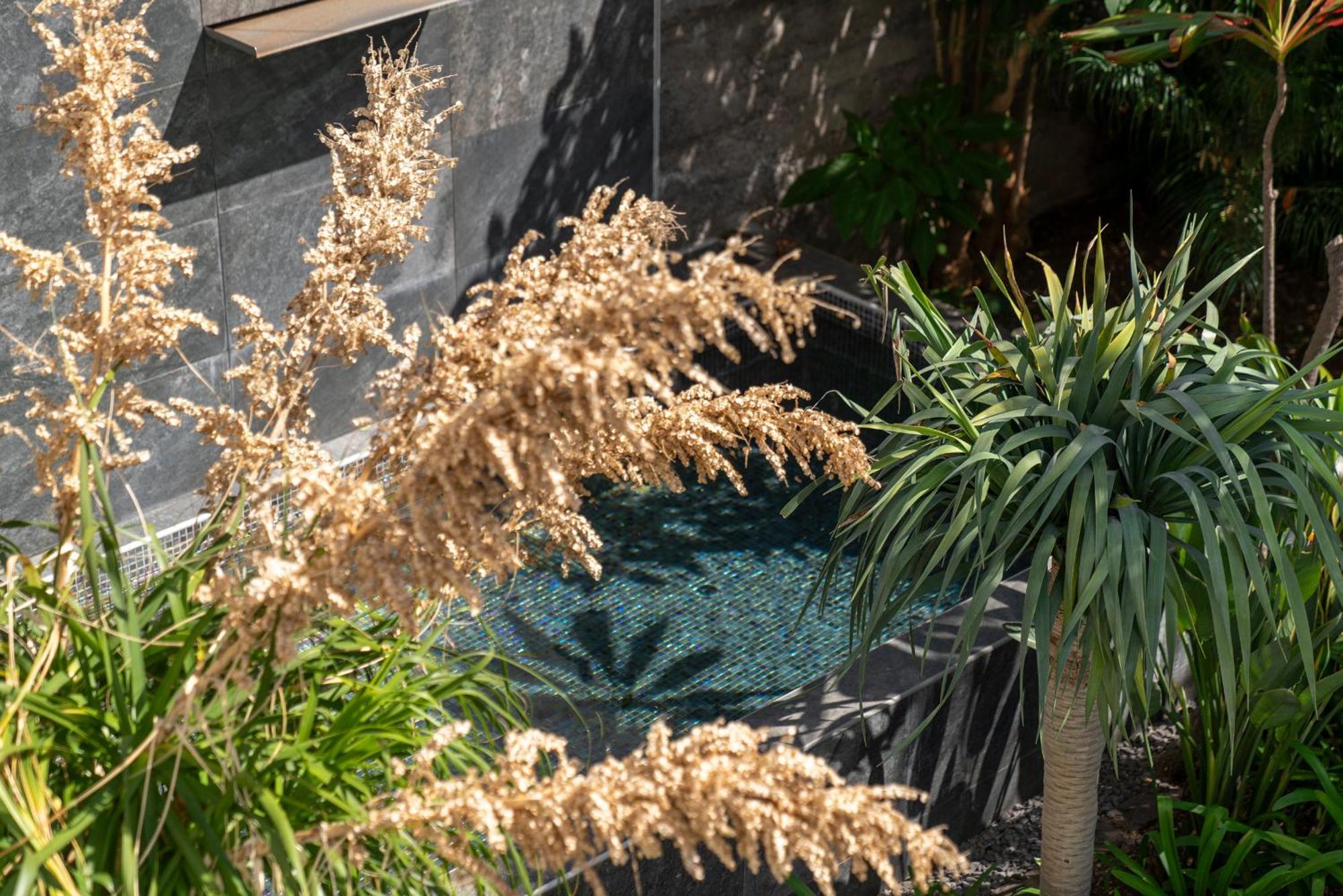 Eden By Lovelystay Villa Funchal (Madeira)