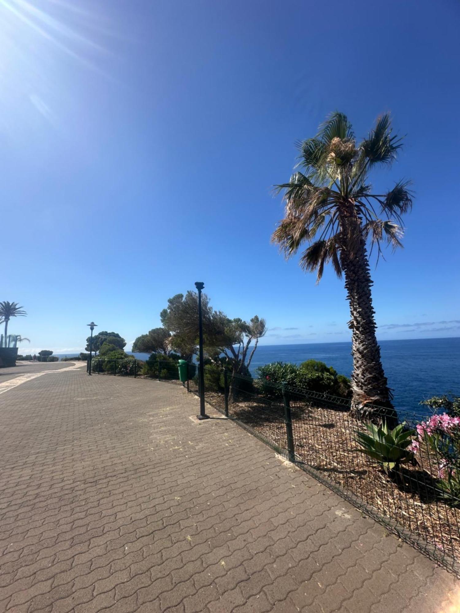 Apartment Varandas Do Sol - Private Sun Terrace Close To Natural Pools & Praia Formosa