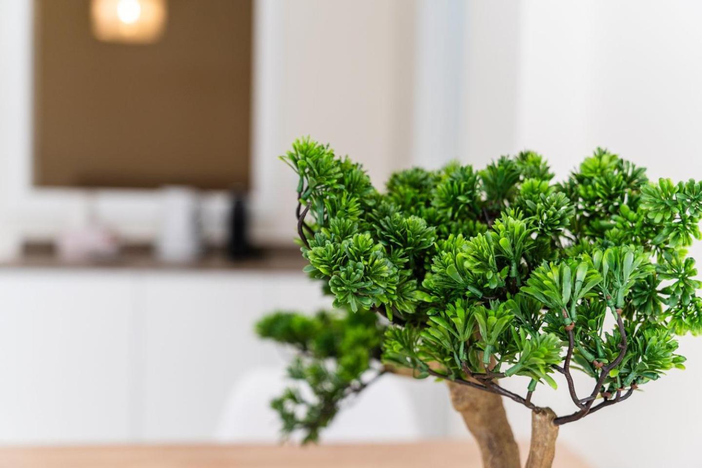 Apartment Guestready - Typical Experience In Funchal (Madeira)