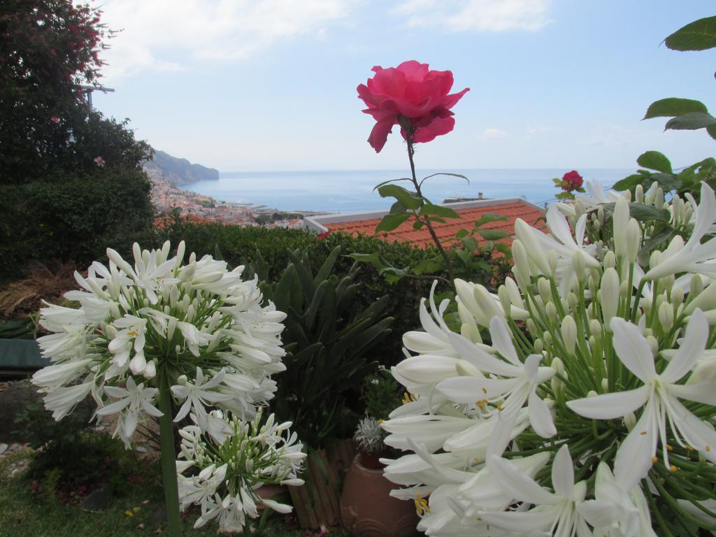 Vista Oceano