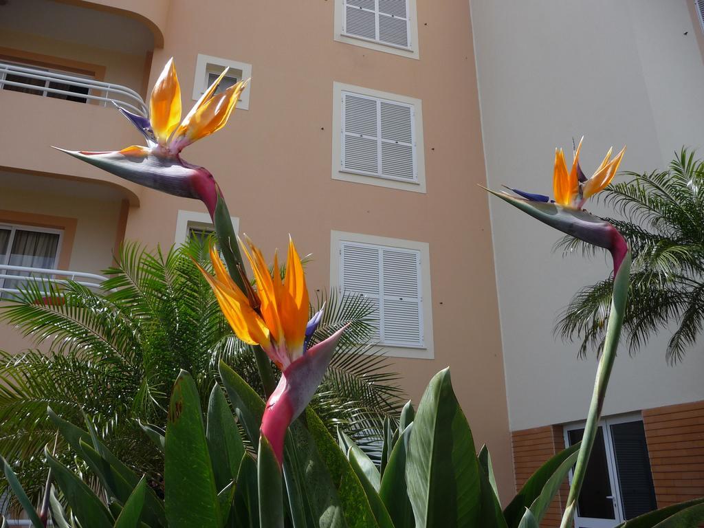 Apartamento Funchal Sunshine Căn hộ