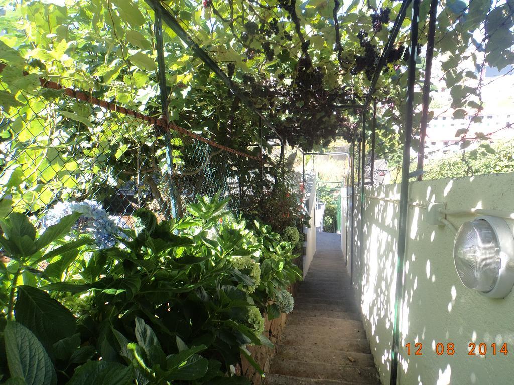 Ferienhaus Cantinho Das Bananas Funchal (Madeira)