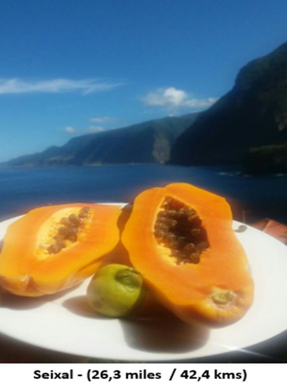 Netos Golden Apartamento Funchal (Madeira)