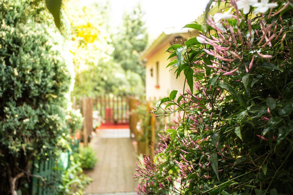 Hortensia Gardens Appartement *