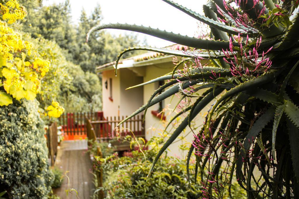 Appartement Hortensia Gardens Funchal (Madeira)