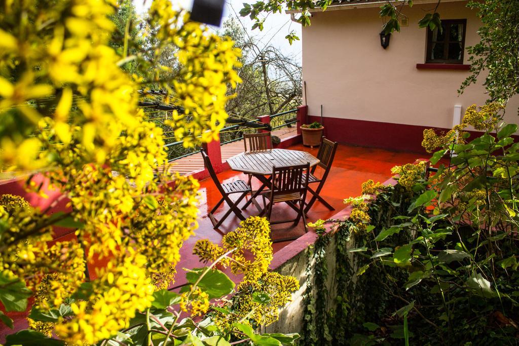 Hortensia Gardens Funchal (Madeira)