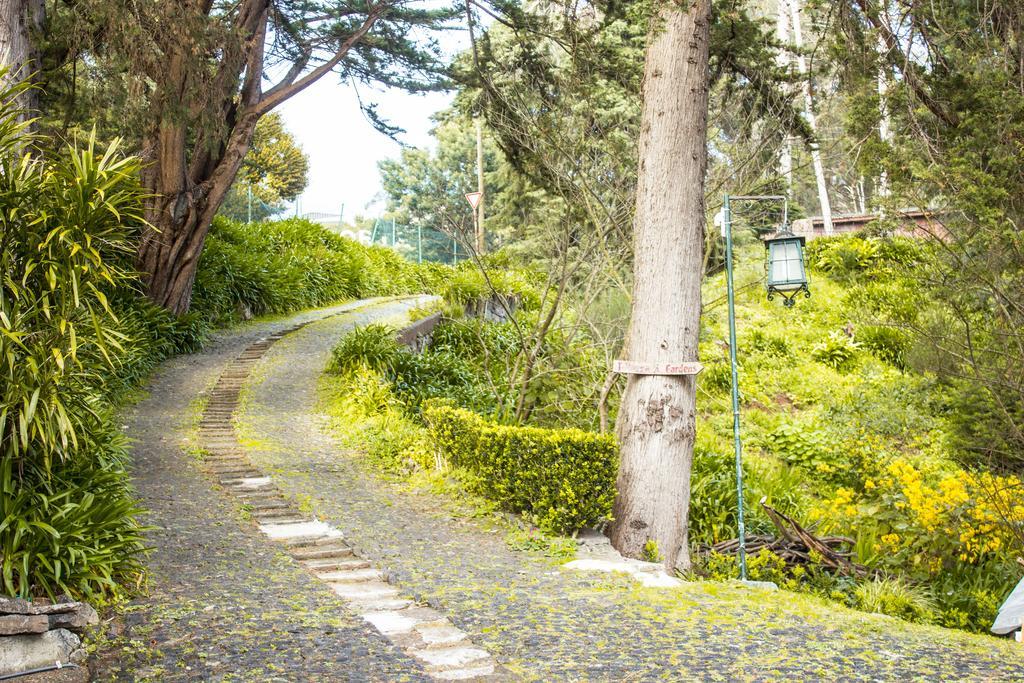 Hortensia Gardens *
