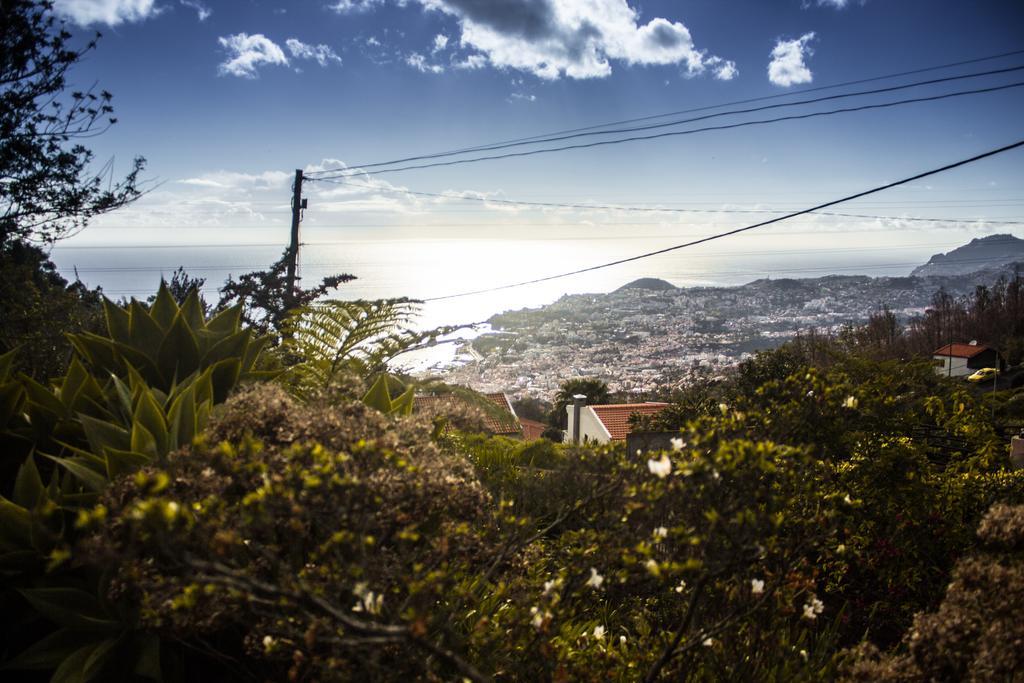 Hortensia Gardens * Funchal (Madeira)
