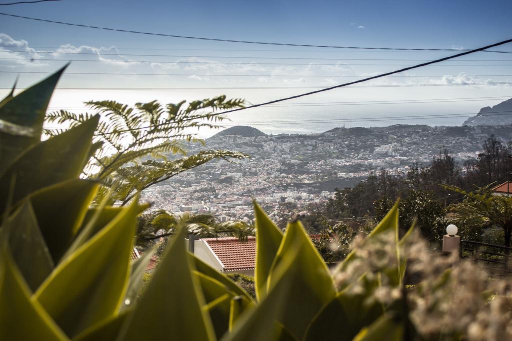 Hortensia Gardens Funchal (Madeira)