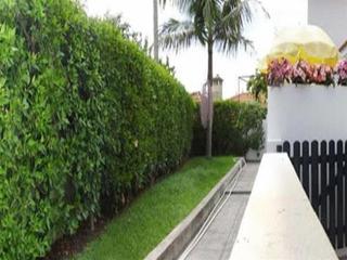 Maria Appartement Funchal (Madeira)