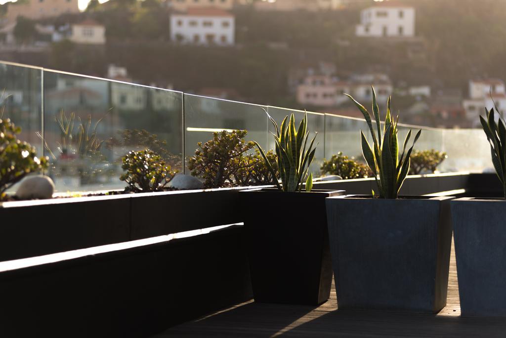 Arts In Penthouse Til Sol Apartment