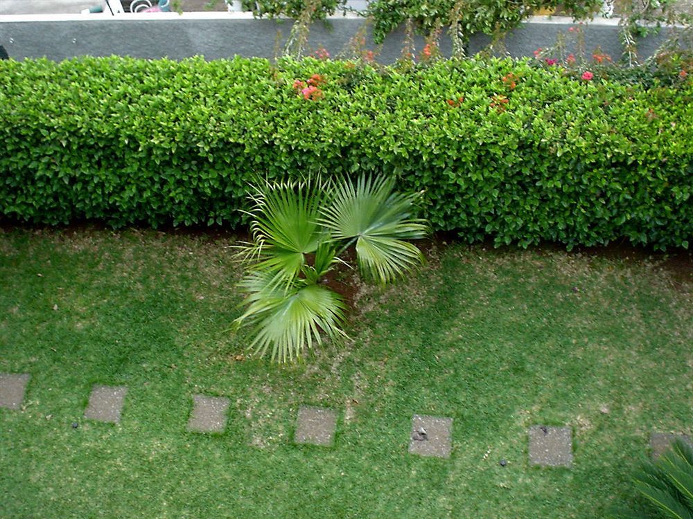 Hotel Residencial Monte Verde Funchal (Madeira)