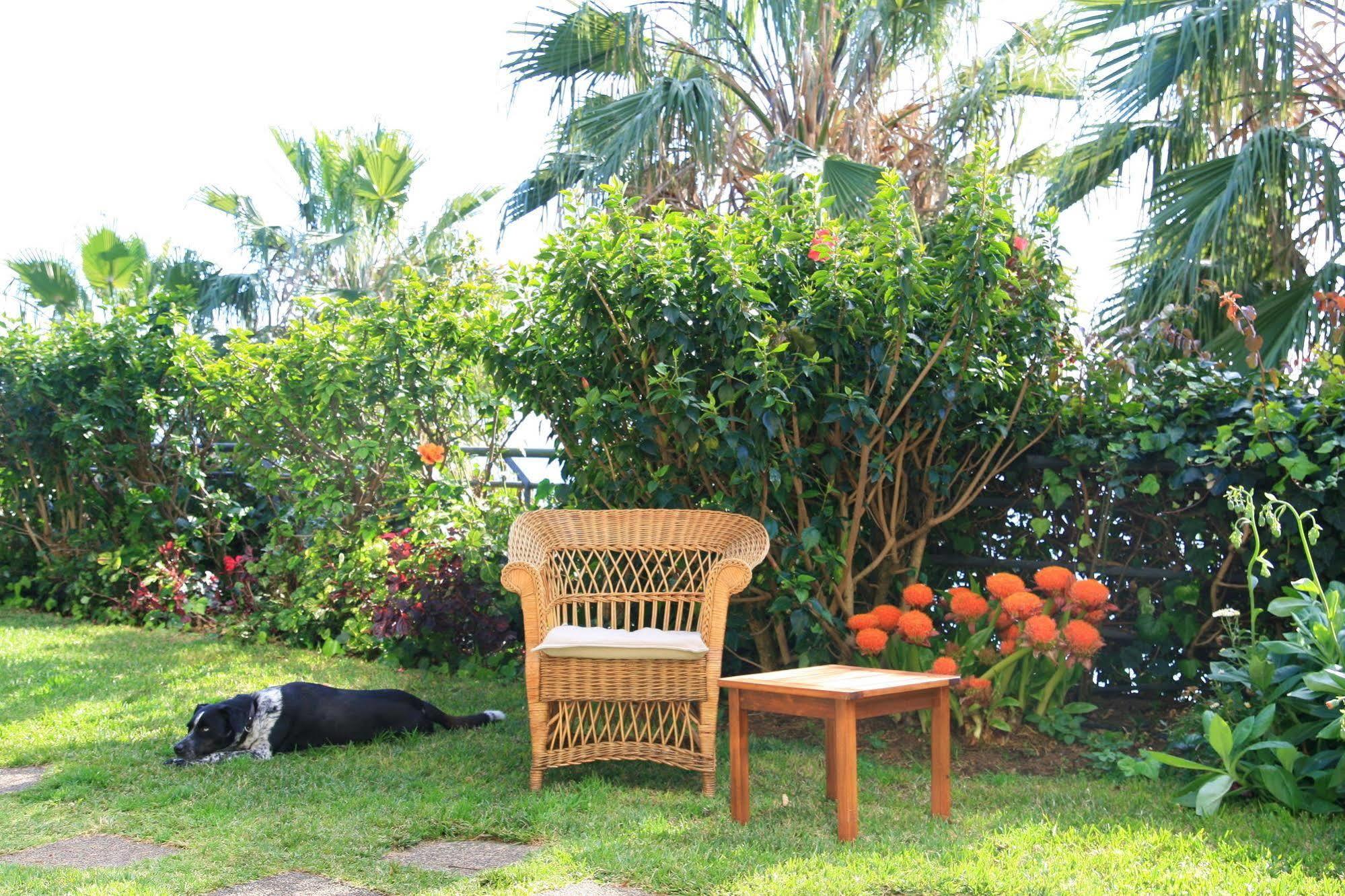 Casa Do Papagaio Guest house 3*