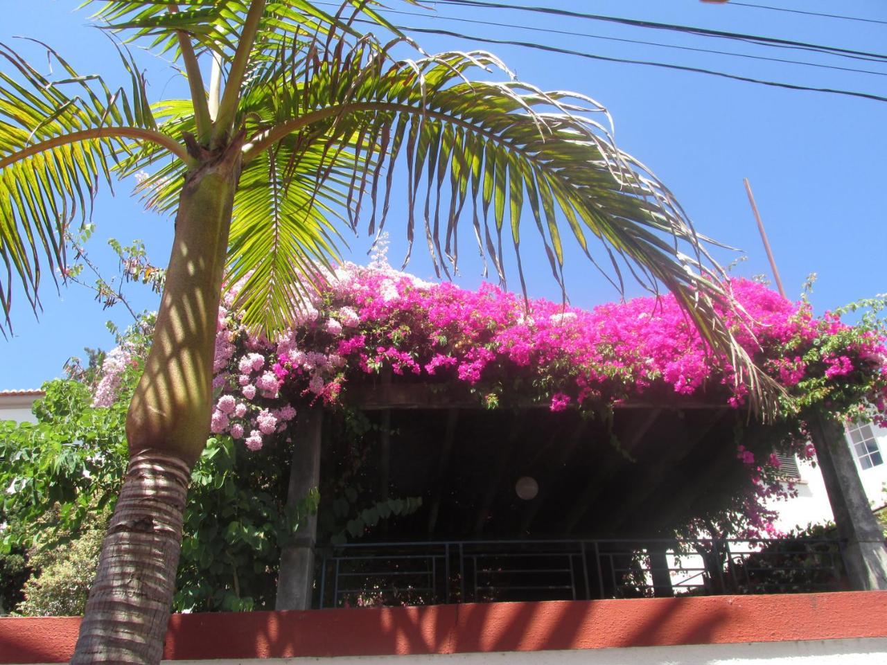 Vista Oceano Apartment Funchal (Madeira)