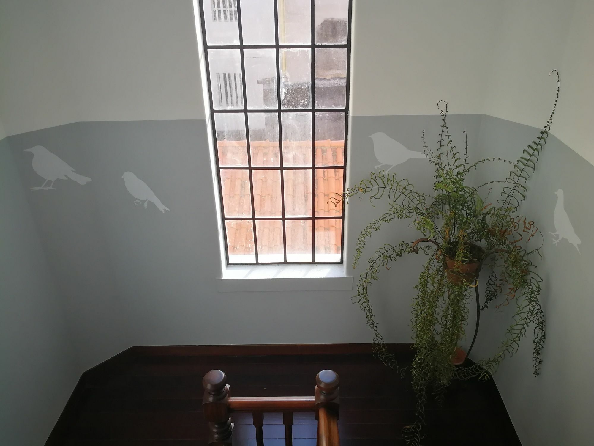 Apartment Downtown Funchal (Madeira)