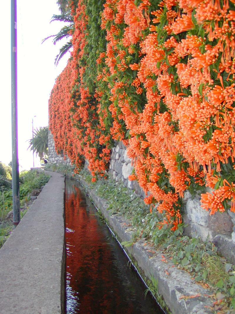 Aparthotel Marta Funchal (Madeira)