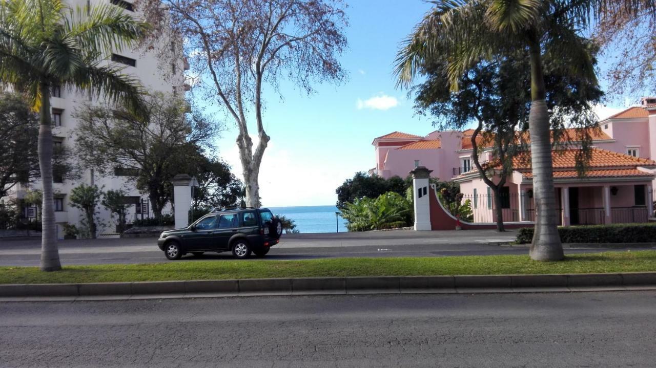 Shearwaters - Sounds Of The Sea * Funchal (Madeira)