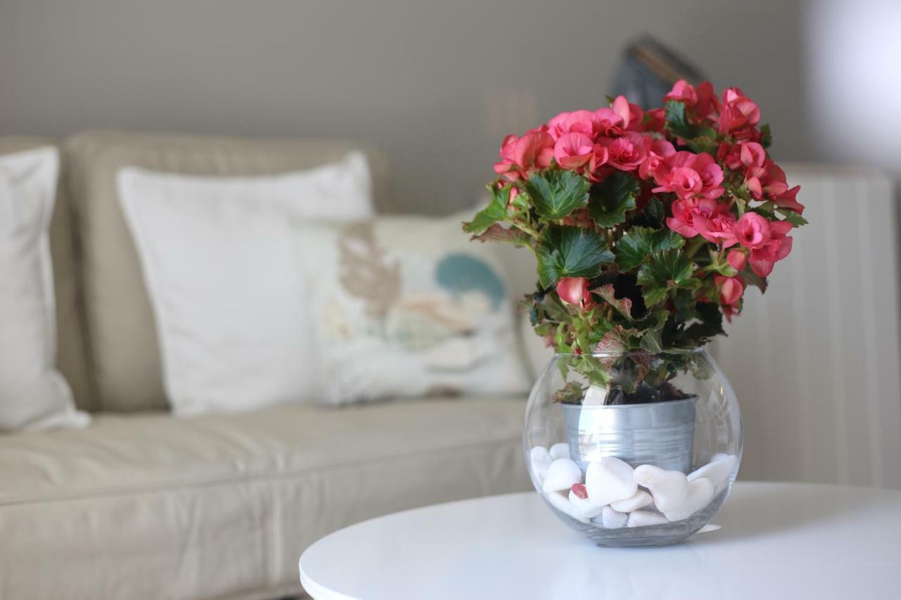 Sea Shell Apartamento