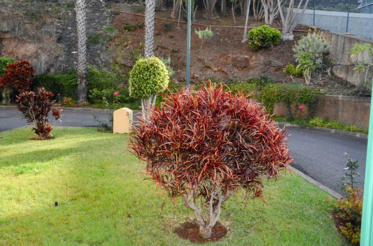 Vista Formosa Funchal (Madeira)