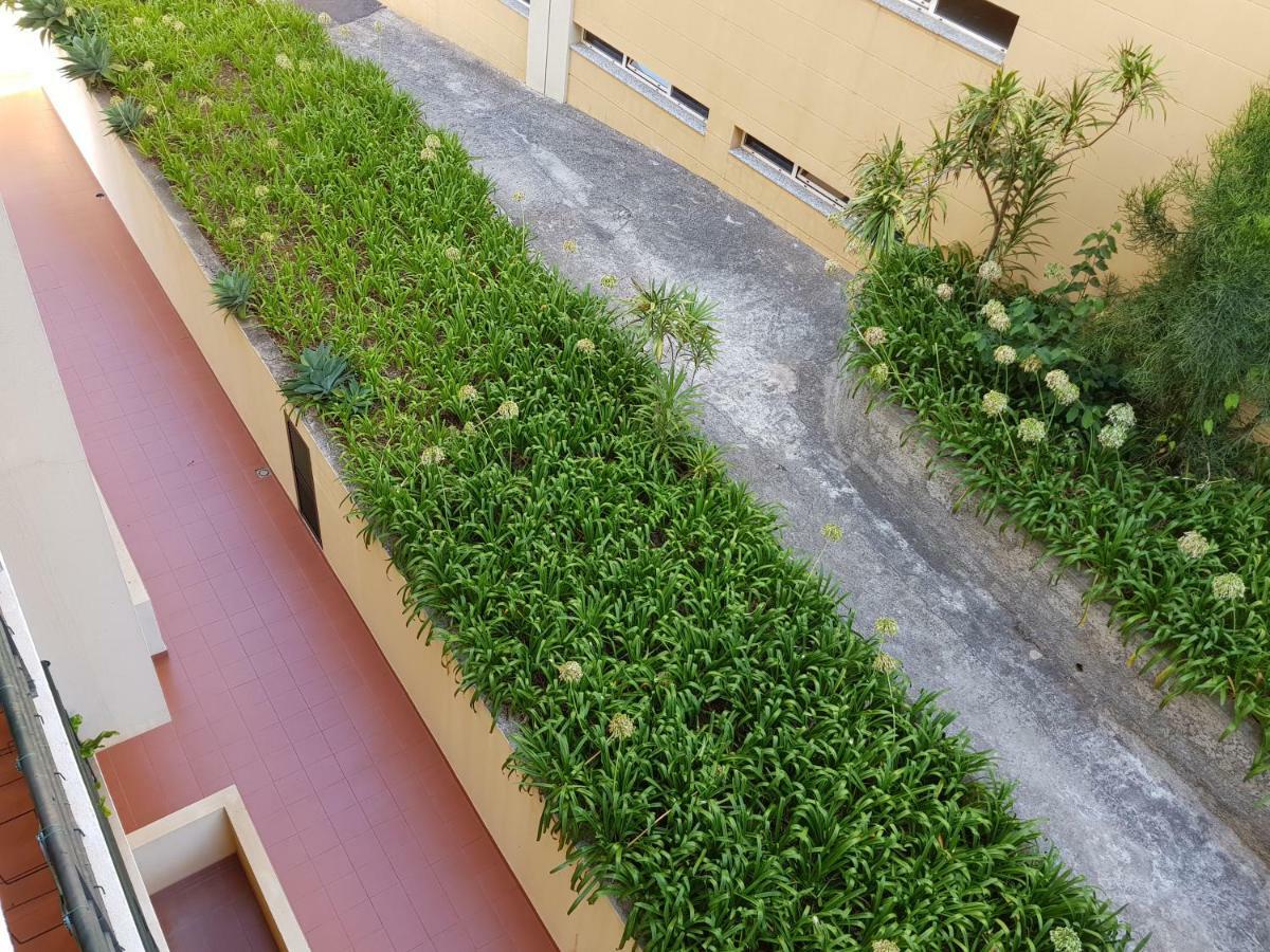 Apartament Regia Funchal (Madeira)