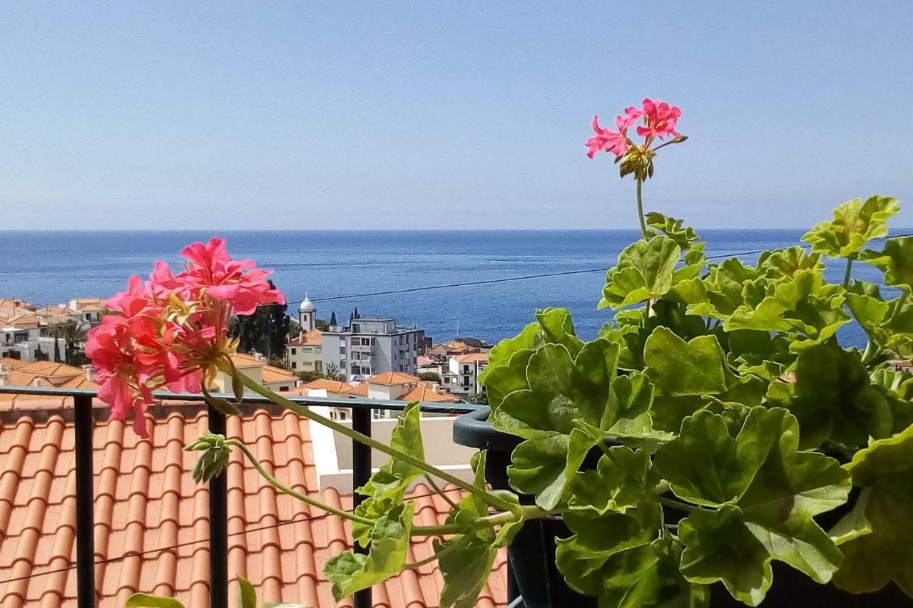 Apartment Sea View Terrace *