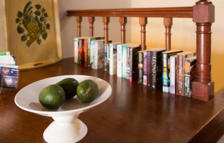 Apartment Old Town Penthouse - Barreirinha Funchal (Madeira)