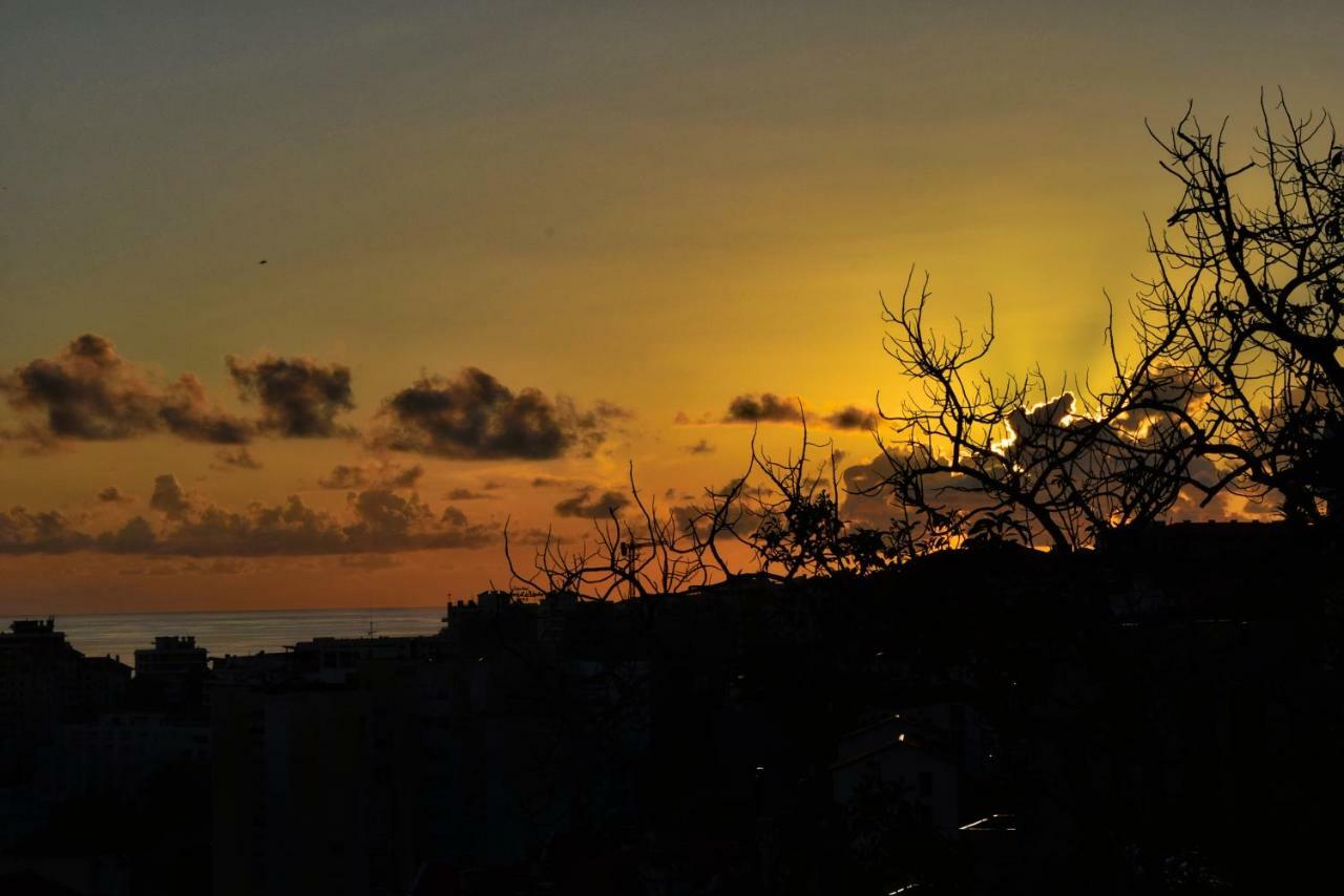 Apartment Seculo Xxi-c, A In Madeira